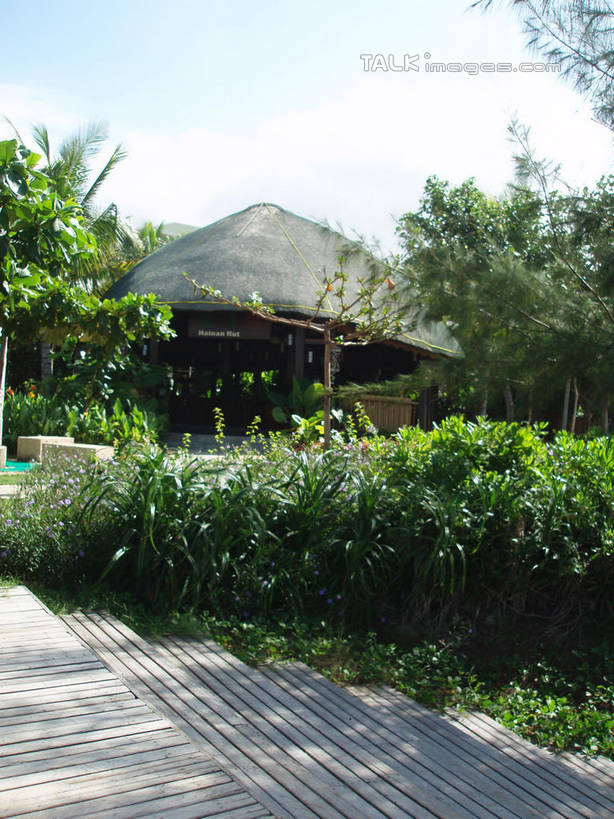 无人,家,竖图,室外,白天,正面,旅游,度假,草地,草坪,美景,植物,楼梯,三亚,中国,亚洲,阴影,光线,影子,房屋,阶梯,屋子,草屋,景观,娱乐,台阶,住宅,草,树,树木,海南,蓝色,绿色,蓝天,天空,阳光,自然,茅草屋,天,享受,休闲,景色,放松,海南省,生长,晴朗,成长,自然风光,东亚,三亚市,万里无云,中华人民共和国,华南地区,琼,晴空,晴空万里,彩图,房子,茅舍,茅屋,小屋,shslj1