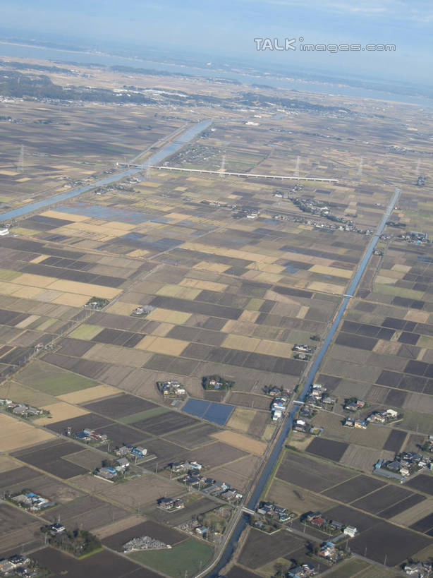 无人,家,农田,竖图,俯视,航拍,室外,白天,旅游,度假,庄稼,农作物,美景,植物,城市风光,城市,建筑,阴影,光线,影子,房屋,屋子,景观,云,云朵,公寓,云彩,娱乐,建设,洋房,楼房,住宅,树,树木,蓝色,绿色,白云,蓝天,天空,阳光,自然,天,享受,休闲,景色,放松,生长,晴朗,成长,鸟瞰,晴空,彩图,高角度拍摄,耕地,庄稼田,房子,shslj1
