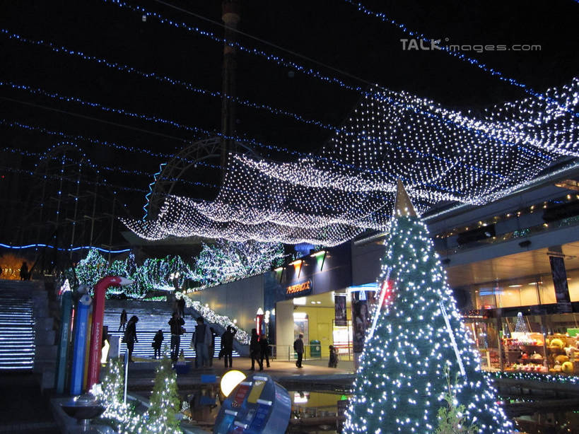 东方人,商店,走,横图,室外,夜晚,正面,购物,度假,消费,美景,植物,城市风光,超市,城市,商场,照明,东京,日本,圣诞节,亚洲,行人,游客,游人,阴影,服装,节日,朦胧,模糊,庆祝,装饰,光线,彩灯,挂饰,影子,池塘,景观,水池,灯光,圣诞树,圣诞球,中央区,许多人,注视,休闲装,黄种人,文化,娱乐,路人,旅客,灯,球,树,树木,衣服,绿色,自然,灯具,观察,看,一群人,庆典,享受,休闲,球体,休闲服,银座,景色,放松,金融,百货,服饰,花灯,生长,成长,观看,纪念,华丽,修饰,照亮,点缀,察看,照明设备,关注,选购,贸易,圣诞灯,百货公司,东亚,本州,关东地方,本州岛,日本国,东京都,衬托,美观,雅致,雅观,血拼,过客,男人,男性,年轻男性,年轻女性,女人,女性,亚洲人,步行,散步,走路,半身,彩图,购物商场,购物中心,商业中心,shslj1
