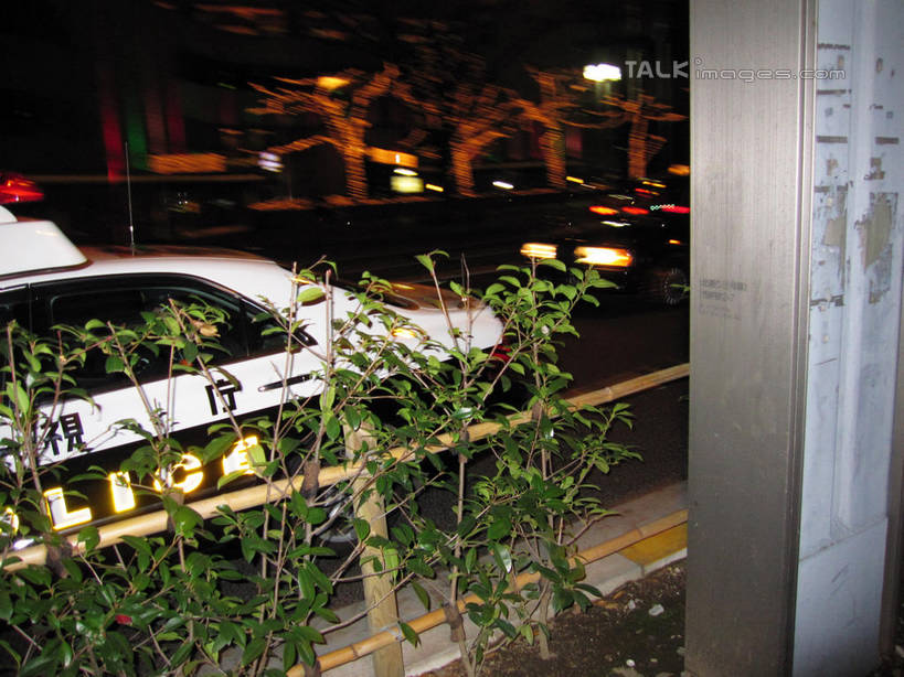 无人,商店,横图,室外,夜晚,正面,购物,消费,植物,超市,道路,路,路灯,商场,公路,汽车,警车,照明,东京,日本,亚洲,阴影,光线,影子,灯光,交通,中央区,车,灯,树,树木,绿色,自然,交通工具,银座,金融,百货,生长,成长,照亮,照明设备,载具,选购,贸易,百货公司,东亚,本州,关东地方,本州岛,日本国,东京都,血拼,巡逻车,马路,彩图,购物商场,购物中心,商业中心,shslj1