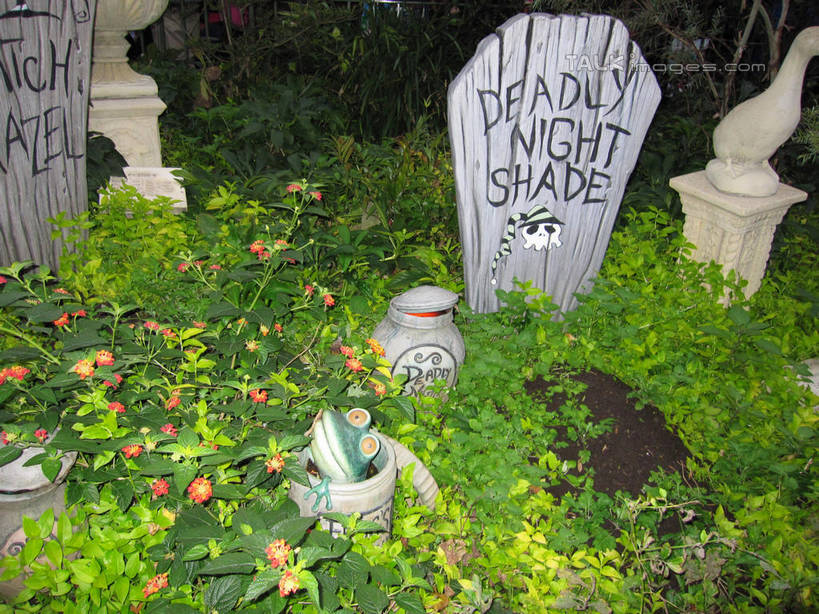 无人,游乐园,横图,俯视,室外,白天,度假,草地,草坪,美景,植物,城市风光,城市,游乐场,水果,东京,日本,亚洲,节日,庆祝,新鲜,英文,标志,木材,文字,字符,字母,景观,生食,食品,果实,文化,娱乐,标识,木柴,草,食物,绿色,庆典,享受,休闲,迪斯尼乐园,万圣节,景色,放松,有机食品,绿色食品,木料,纪念,英文字母,东亚,本州,关东地方,本州岛,日本国,东京都,乐园,主题公园,彩图,高角度拍摄,人造公园,主题乐园,东京迪斯尼乐园,shslj1