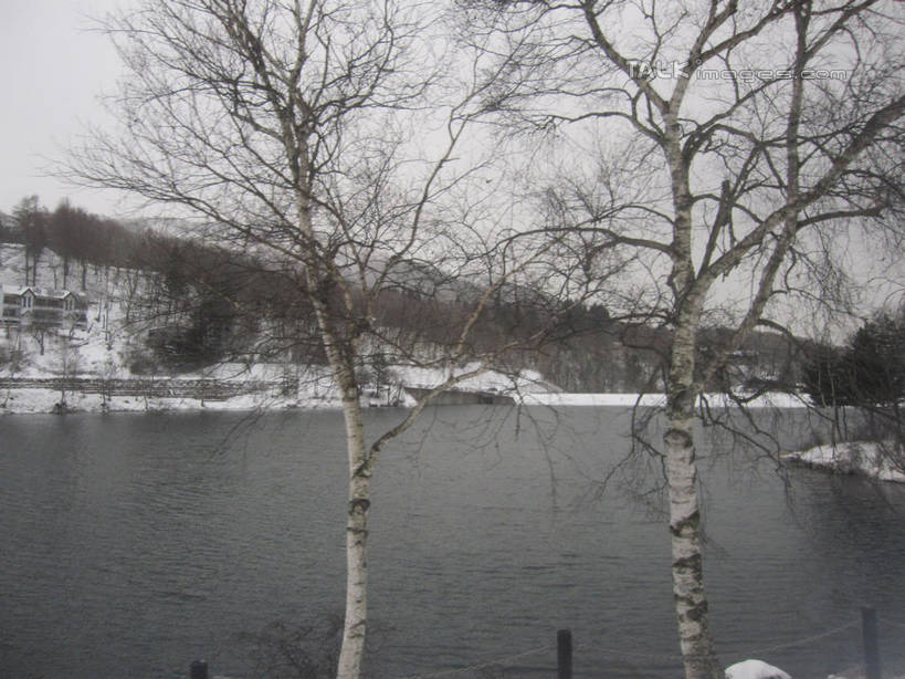 无人,横图,室外,白天,正面,旅游,度假,湖,湖泊,美景,森林,树林,水,雪,植物,大雪,长野县,日本,亚洲,湖面,积雪,景观,水流,水面,雪景,冬季,冬天,娱乐,树,树木,绿色,自然,湖水,享受,休闲,景色,放松,寒冷,白桦,生长,成长,白桦湖,自然风光,东亚,本州,本州岛,日本国,中部地方,长野,严寒,桦树,桦皮树,桦木,彩图,北佐久郡,立科町,shslj1