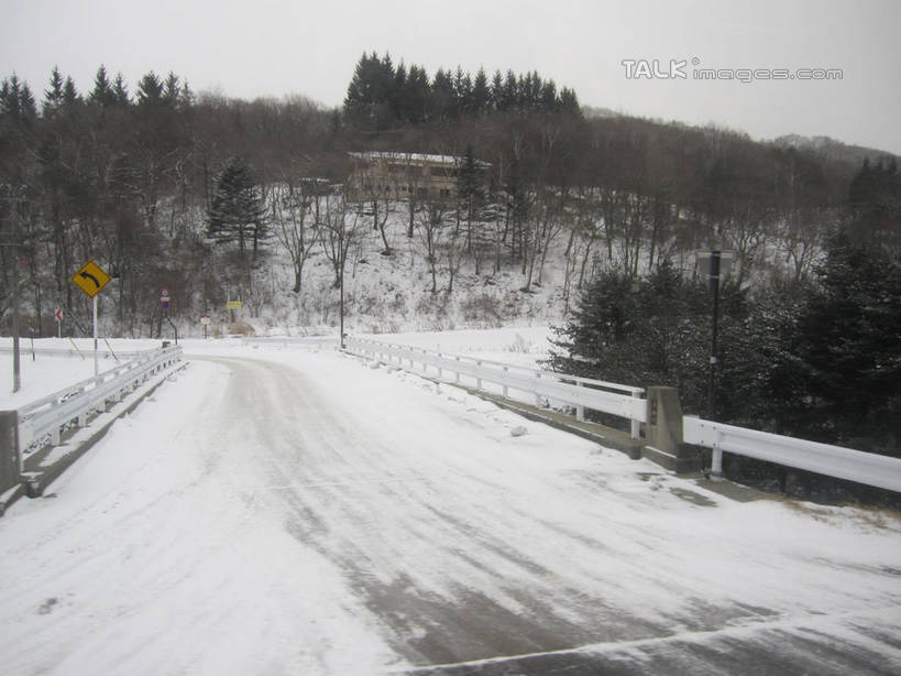 无人,横图,室外,白天,正面,旅游,度假,湖,湖泊,美景,森林,树林,水,雪,植物,大雪,长野县,日本,亚洲,湖面,积雪,景观,水流,水面,雪景,冬季,冬天,娱乐,树,树木,绿色,自然,湖水,享受,休闲,景色,放松,寒冷,白桦,生长,成长,白桦湖,自然风光,东亚,本州,本州岛,日本国,中部地方,长野,严寒,桦树,桦皮树,桦木,彩图,北佐久郡,立科町,shslj1