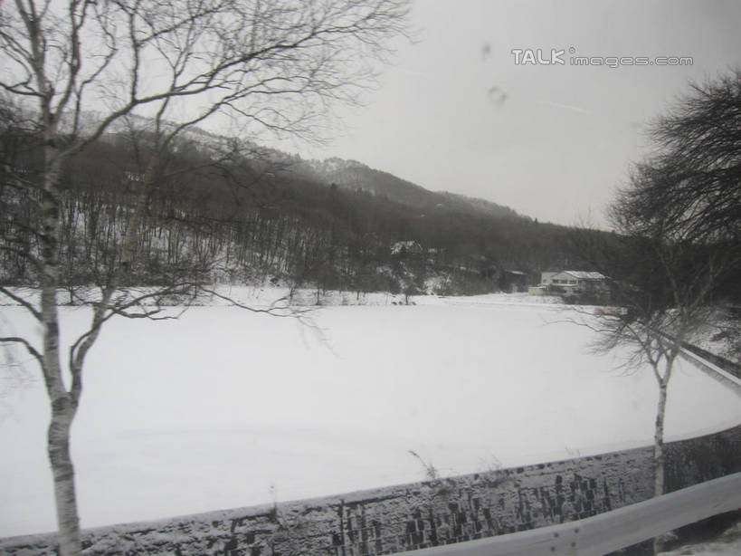 无人,横图,室外,白天,正面,旅游,度假,湖,湖泊,美景,森林,树林,水,雪,植物,大雪,长野县,日本,亚洲,湖面,积雪,景观,水流,水面,雪景,冬季,冬天,娱乐,树,树木,绿色,自然,湖水,享受,休闲,景色,放松,寒冷,白桦,生长,成长,白桦湖,自然风光,东亚,本州,本州岛,日本国,中部地方,长野,严寒,桦树,桦皮树,桦木,彩图,北佐久郡,立科町,shslj1