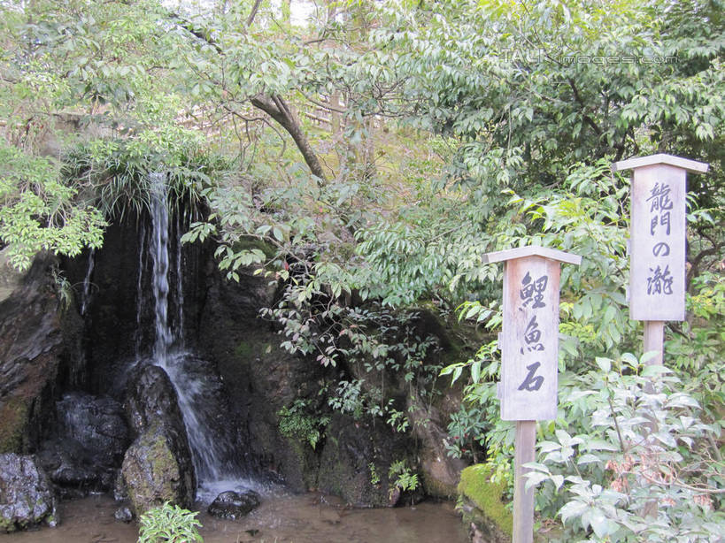 无人,横图,室外,白天,正面,旅游,度假,石头,美景,瀑布,森林,山,山脉,树林,水,植物,指示牌,日本,亚洲,飞溅,溅,日文,标志,石子,文字,液体,字符,景观,山峰,水滴,山峦,娱乐,标识,水珠,树,树木,绿色,自然,群山,享受,休闲,景色,放松,生长,成长,喷洒,自然风光,东亚,日本国,日语,跌水,石块,彩图,shslj1