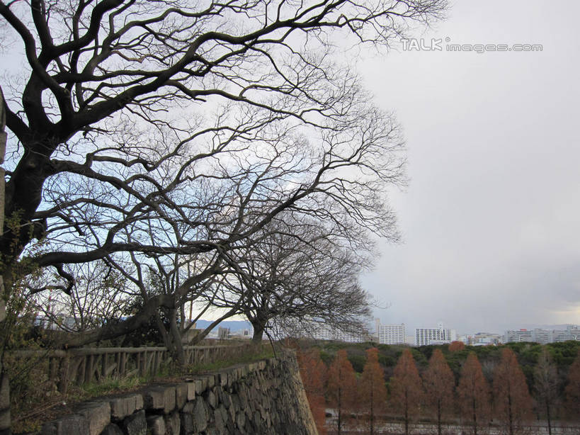 无人,公园,横图,室外,白天,正面,度假,石头,美景,植物,城市风光,城市,日本,亚洲,阴影,光线,石子,影子,墙,景观,云,云朵,中央区,云彩,娱乐,墙壁,墙面,树,树木,蓝色,绿色,白云,蓝天,天空,阳光,自然,天,享受,休闲,景色,放松,大阪,大阪城公园,生长,晴朗,成长,东亚,本州,大阪府,本州岛,日本国,近畿地方,近畿,石块,晴空,彩图,shslj1