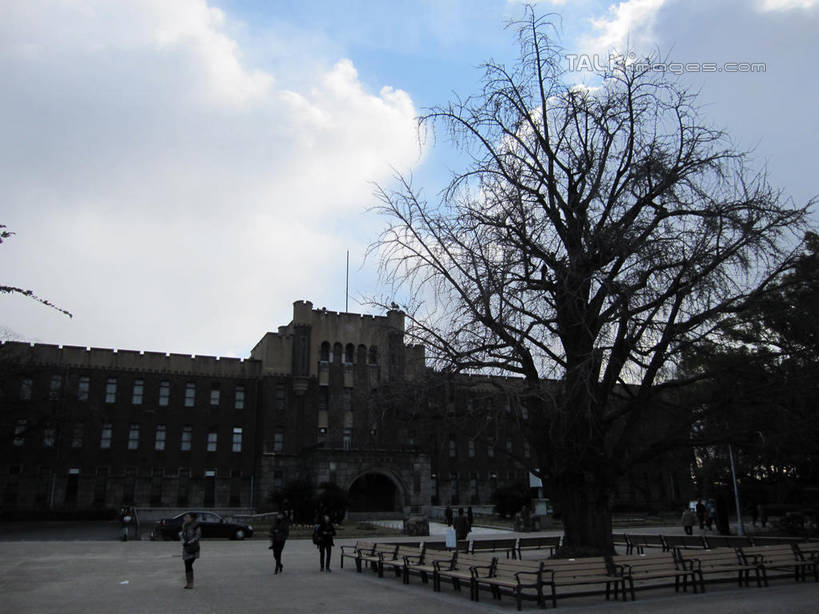 东方人,博物馆,公园,走,横图,室外,白天,仰视,旅游,度假,植物,标志建筑,地标,建筑,日本,亚洲,行人,游客,游人,阴影,服装,研究,光线,影子,云,云朵,中央区,许多人,教育,云彩,注视,休闲装,黄种人,娱乐,建设,路人,旅客,树,树木,衣服,蓝色,绿色,白云,蓝天,天空,阳光,自然,天,观察,看,一群人,享受,休闲,休闲服,旅游胜地,放松,服饰,大阪,大阪城公园,大阪历史博物馆,生长,晴朗,成长,观看,展览,察看,关注,欣赏,陈列,东亚,本州,大阪府,本州岛,日本国,近畿地方,大阪城,近畿,典藏,过客,男人,男性,年轻男性,年轻女性,女人,女性,亚洲人,晴空,步行,散步,走路,半身,彩图,低角度拍摄,shslj1