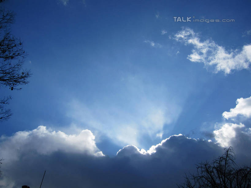 无人,公园,横图,室外,白天,仰视,旅游,度假,美景,植物,日本,亚洲,阴影,光线,影子,景观,云,云朵,中央区,背光,云彩,娱乐,树,树木,蓝色,绿色,白云,蓝天,天空,阳光,自然,天,享受,休闲,景色,放松,大阪,大阪城公园,生长,晴朗,成长,自然风光,逆光,东亚,本州,大阪府,本州岛,日本国,近畿地方,近畿,晴空,彩图,低角度拍摄,shslj1