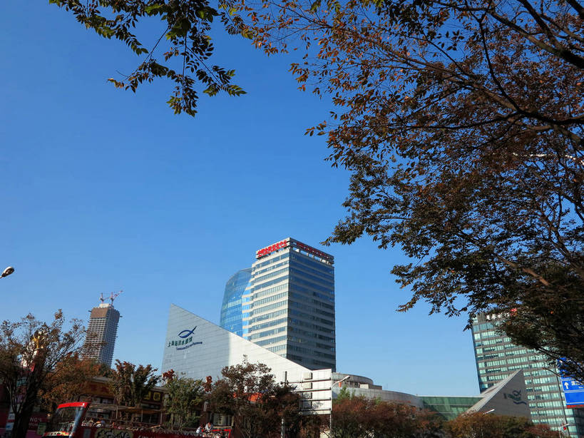 无人,高楼大厦,横图,室外,白天,仰视,度假,美景,树林,植物,城市风光,标志建筑,城市,大厦,地标,建筑,路灯,摩天大楼,指示牌,照明,上海,中国,亚洲,阴影,光线,标志,路标,影子,景观,建筑群,灯光,枝条,娱乐,标识,建设,浦东,路牌,灯,树,树木,树枝,蓝色,绿色,蓝天,天空,阳光,自然,天,享受,休闲,景色,放松,生长,晴朗,成长,照亮,申,照明设备,金融中心,陆家嘴,陆家嘴金融贸易区,浦东新区,东亚,上海市,万里无云,中华人民共和国,沪,华东地区,海洋水族馆,虬枝,枝杈,晴空,晴空万里,彩图,低角度拍摄,大楼,高层建筑,高楼,摩天楼,上海海洋水族馆,上海水族馆,shslj1,港务大厦,中国金融信息中心