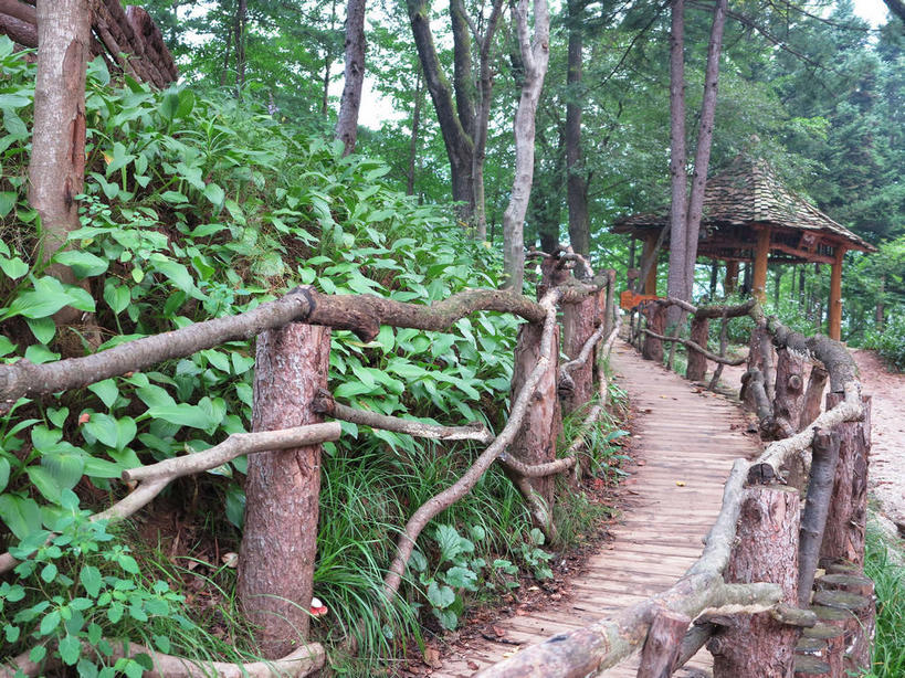 无人,栏杆,横图,室外,白天,正面,旅游,度假,草地,草坪,美景,树林,植物,春川,南怡岛,韩国,亚洲,木板,亭子,景观,围栏,桥,木桥,娱乐,护栏,栈桥,草,树,树木,绿色,自然,凉亭,享受,休闲,景色,放松,生长,成长,人行桥,木板桥,自然风光,东亚,大韩民国,江原道,春川市,彩图,道,shslj1