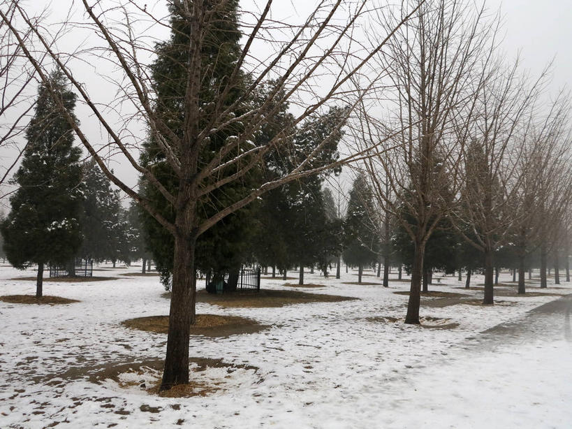 无人,天坛,横图,室外,白天,正面,旅游,度假,美景,雪,植物,雾,大雪,道路,路,北京,中国,亚洲,节日,朦胧,模糊,积雪,景观,乌云,雪景,云,阴天,云朵,冬季,冬天,小路,交通,首都,云彩,文化,娱乐,树,树木,绿色,天空,自然,天,祈祷,祈福,享受,休闲,健康,景色,放松,寒冷,许愿,宗教,信仰,生长,成长,纪念,祈求,迷雾,昏暗,阴沉,自然风光,祭天,东亚,中华人民共和国,东城区,北京市,京,北平,华北地区,天坛公园,严寒,北京天坛,平安,大雾,彩图,永定门内大街,东城,shslj1