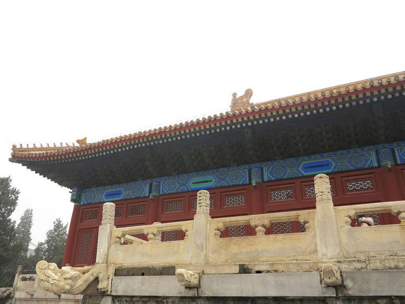 无人,栏杆,横图,室外,白天,仰视,旅游,度假,名胜古迹,植物,标志建筑,地标,建筑,北京,天安门广场,中国,亚洲,遗迹,瓦片,墙,屋檐,围栏,首都,古迹,文物,娱乐,建设,古建筑,太庙,护栏,檐,墙壁,墙面,树,树木,黄色,红色,蓝色,绿色,天空,自然,天,享受,休闲,旅游胜地,放松,生长,成长,古文明,东亚,中华人民共和国,东城区,北京市,京,北平,华北地区,彩图,低角度拍摄,北京太庙,劳动人民文化宫,东城,shslj1