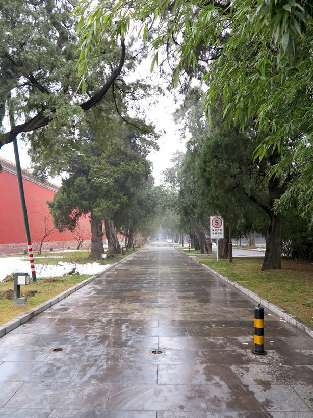 无人,竖图,室外,白天,正面,旅游,度假,草地,草坪,名胜古迹,植物,标志建筑,道路,地标,建筑,路,北京,天安门广场,中国,亚洲,遗迹,柱子,墙,小路,交通,首都,古迹,文物,娱乐,建设,古建筑,太庙,墙壁,墙面,草,树,树木,红色,绿色,天空,自然,天,享受,休闲,旅游胜地,放松,生长,潮湿,成长,古文明,东亚,中华人民共和国,东城区,北京市,京,北平,华北地区,湿润,彩图,北京太庙,劳动人民文化宫,东城,shslj1