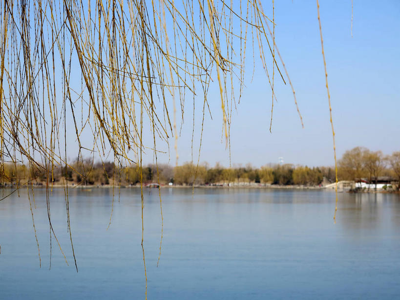 无人,公园,横图,室外,白天,正面,旅游,度假,湖,湖泊,名胜古迹,树林,水,植物,标志建筑,地标,建筑,桥梁,北京,圆明园,中国,亚洲,阴影,遗迹,光线,影子,湖面,水流,水面,桥,首都,古迹,文物,娱乐,建设,古建筑,石桥,树,树木,蓝色,绿色,倒影,蓝天,天空,阳光,自然,湖水,天,享受,休闲,旅游胜地,放松,生长,晴朗,成长,人行桥,倒映,古文明,东亚,海淀区,万里无云,中华人民共和国,北京市,京,北平,华北地区,反照,晴空,晴空万里,彩图,圆明园遗址,圆明园遗址公园,shslj1,天心水面