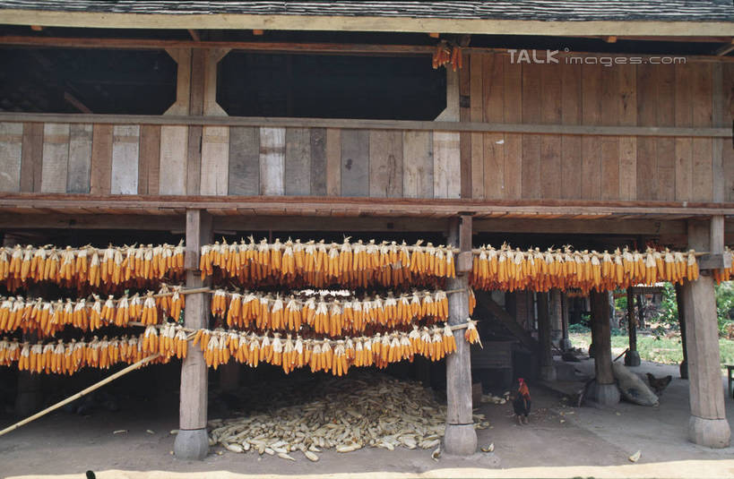 无人,家,木屋,横图,室外,白天,正面,旅游,度假,玉米,美景,蔬菜,西双版纳,中国,亚洲,一排,许多,吊挂,悬挂,新鲜,整齐,并列,并排,棒子,景观,玉蜀黍,食品,很多,挂,娱乐,云南,住宅,食物,排列,自然,享受,休闲,景色,放松,有机食品,绿色食品,苞米,队列,自然风光,苞芦,平行,东亚,苞谷,西双版纳州,云南省,中华人民共和国,西南地区,包谷,大蜀黍,番麦,薏米包,玉高粱,玉麦,珍珠米,滇,西双版纳傣族自治州,彩图,茅舍,茅屋,棚屋,小木屋,小屋,shtjw1
