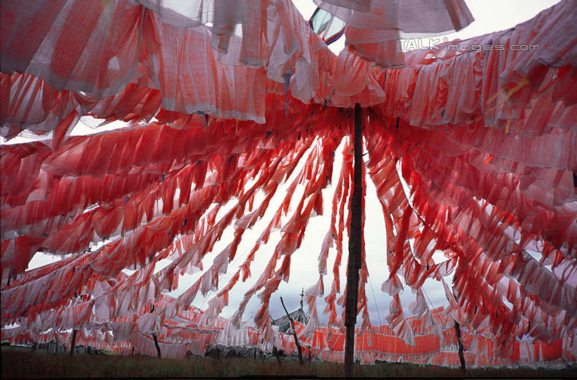 无人,横图,室外,白天,正面,兴奋,热情,旗帜,阴影,节日,光线,影子,开放,文化,旗子,经幡,红色,蓝色,蓝天,天空,阳光,天,祈祷,健康,温暖,奔放,活力,积极,激情,许愿,宗教,信仰,朝气,晴朗,纪念,暖色,祈求,吉祥,生命,饱满,万里无云,风马旗,革命,旌旗,旗号,热烈,赤色,充实,斗志,喜气,主动,平安,晴空,晴空万里,彩图,欢乐,shtjw1