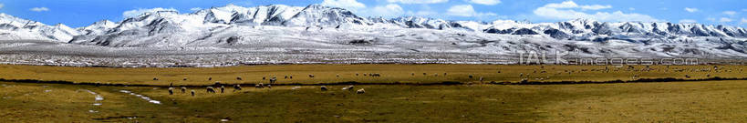 无人,横图,室外,白天,正面,旅游,度假,草地,草原,石头,美景,山,雪,雪山,植物,大雪,中国,亚洲,阴影,光线,石子,影子,冰,积雪,景观,旷野,山顶,山峰,雪景,云,云朵,冬季,冬天,山峦,云彩,娱乐,草,蓝色,绿色,白云,蓝天,天空,阳光,自然,天,享受,休闲,景色,放松,寒冷,晴朗,冰冷,自然风光,原野,东亚,沉积岩,甘肃,甘肃省,青海,青海省,中华人民共和国,严寒,冰凉,酷寒,凛冽,凛凛,极冷,西北地区,甘,青,颠峰,极峰,水成岩,石块,岩石,晴空,彩图,祁连山脉,祁连山,shtjw1
