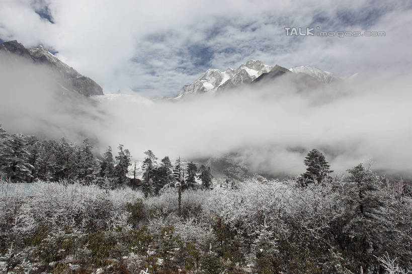 无人,横图,室外,白天,正面,旅游,度假,石头,美景,森林,山,树林,雪,雪山,植物,雾,大雪,贡嘎山,中国,亚洲,阴影,朦胧,模糊,光线,石子,影子,冰,积雪,景观,山顶,山峰,雪景,云,云朵,冬季,冬天,山峦,云彩,娱乐,树,树木,蓝色,绿色,白云,蓝天,天空,阳光,自然,天,享受,休闲,景色,放松,寒冷,四川省,生长,晴朗,成长,迷雾,冰冷,自然风光,东亚,沉积岩,四川,甘孜藏族自治州,中华人民共和国,西南地区,严寒,川,甘孜,甘孜州,冰凉,酷寒,凛冽,凛凛,极冷,保护区,颠峰,极峰,自然保护区,贡嘎山风景区,贡嘎山国家级自然保护区,贡嘎山自然保护区,水成岩,石块,岩石,大雾,晴空,彩图,shtjw1
