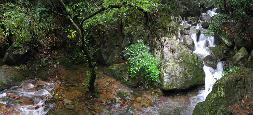 无人,横图,俯视,室外,白天,旅游,度假,河流,石头,美景,山,山脉,水,植物,中国,亚洲,阴影,光线,石子,影子,河水,景观,山顶,山峰,水流,青苔,苔藓,山峦,娱乐,临安,浙江,树,树木,浙江省,绿色,小溪,阳光,自然,群山,溪水,享受,休闲,景色,放松,生长,成长,杭州,自然风光,东亚,沉积岩,天目山,杭州市,中华人民共和国,华东地区,省会,浙,颠峰,极峰,水成岩,石块,岩石,彩图,高角度拍摄,临安市,shtjw1
