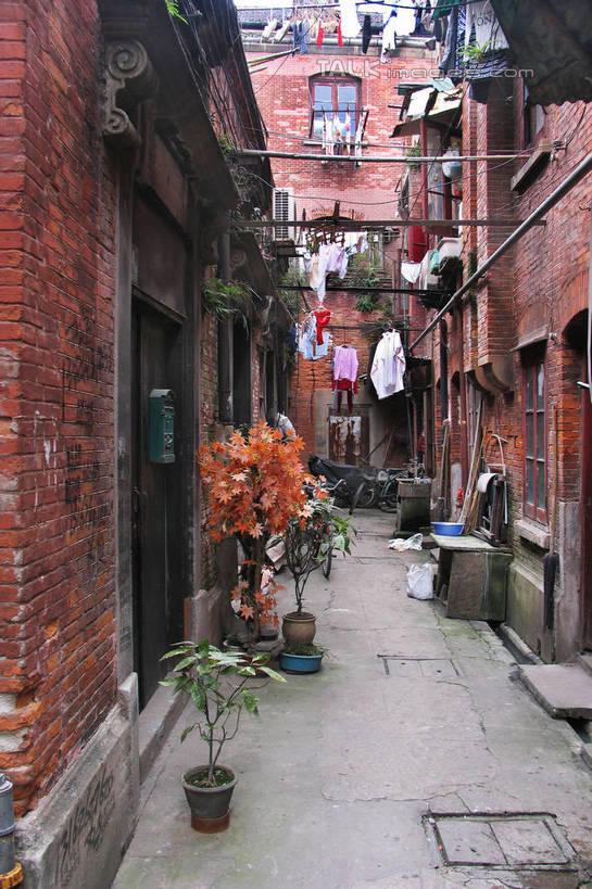 无人,家,竖图,室外,白天,正面,旅游,度假,植物,窗户,标志建筑,地标,建筑,上海,中国,亚洲,电器,盆栽,房屋,墙,屋子,小巷,盆景,娱乐,建设,楼房,弄堂,玻璃窗,墙壁,墙面,石库门,住宅,空调,巷子,绿色,自然,享受,休闲,旅游胜地,放松,生长,成长,申,调节,舒适,家电,家用电器,调整,东亚,上海市,中华人民共和国,沪,华东地区,空气调节器,彩图,房子,shtjw1