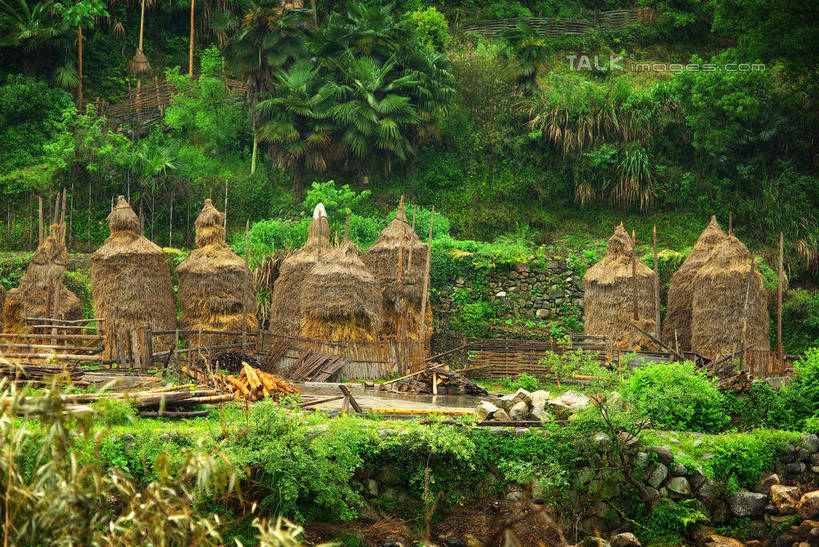 无人,农田,横图,室外,白天,正面,旅游,度假,庄稼,农作物,美景,树林,植物,中国,亚洲,景观,干草,娱乐,江西,景德镇,树,树木,绿色,自然,草垛,享受,休闲,景色,放松,生长,成长,自然风光,东亚,江西省,中华人民共和国,华东地区,赣,景德镇市,干草垛,彩图,耕地,庄稼田,瑶里镇,瑶里古镇,瑶里,shwf1