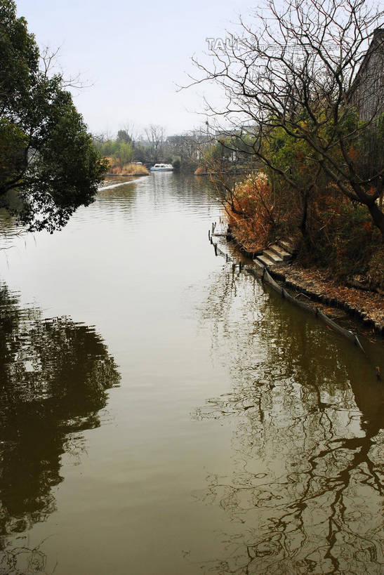 无人,公园,竖图,室外,白天,正面,旅游,度假,湖,湖泊,美景,水,植物,芦苇,叶子,中国,亚洲,湖面,景观,水流,水面,粽叶,绿叶,枝条,娱乐,浙江,树,树木,树枝,浙江省,蓝色,绿色,蓝天,天空,自然,湖水,天,享受,休闲,嫩叶,景色,放松,生长,晴朗,成长,杭州,西溪,自然风光,东亚,杭州市,万里无云,中华人民共和国,华东地区,省会,浙,箬叶,芦苇叶,虬枝,枝杈,西湖区,叶,叶片,晴空,晴空万里,彩图,西溪国家湿地公园,杭州之肺,杭州西溪国家湿地公园,shwf1