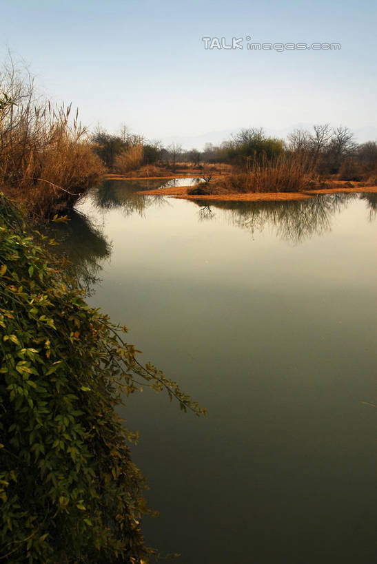 无人,公园,家,竖图,室外,白天,正面,旅游,度假,河流,美景,日落,水,植物,芦苇,叶子,中国,亚洲,房屋,屋子,河水,景观,水流,晚霞,霞光,落日,粽叶,绿叶,枝条,娱乐,浙江,楼房,住宅,树,树木,树枝,浙江省,绿色,自然,黄昏,享受,休闲,嫩叶,瓦房,景色,彩霞,放松,生长,成长,杭州,西溪,自然风光,东亚,杭州市,中华人民共和国,华东地区,省会,浙,箬叶,芦苇叶,夕照,虬枝,枝杈,薄暮,西湖区,叶,叶片,夕阳,彩图,傍晚,房子,西溪国家湿地公园,杭州之肺,杭州西溪国家湿地公园,斜阳,shwf1