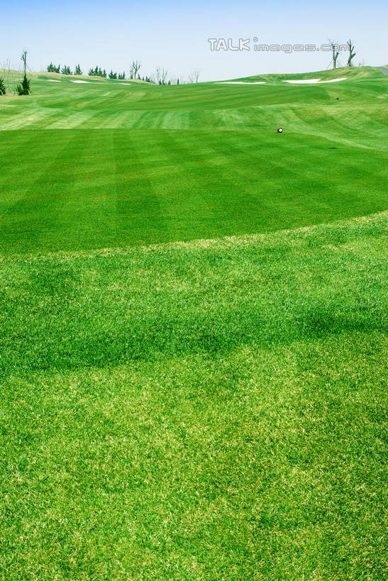 无人,竖图,室外,白天,正面,度假,草地,草坪,美景,沙漠,植物,城市风光,城市,中国,亚洲,阴影,光线,影子,景观,球场,枝条,娱乐,蓬莱,山东,烟台,君顶酒庄,高尔夫球场,草,树,树木,树枝,蓝色,绿色,蓝天,天空,阳光,自然,天,享受,休闲,景色,放松,生长,晴朗,成长,绿茵场,东亚,山东省,万里无云,中华人民共和国,华东地区,鲁,烟台市,虬枝,枝杈,大漠,砂漠,晴空,晴空万里,彩图,中粮南王山谷君顶酒庄,中粮君顶酒庄,蓬莱市,shwf1