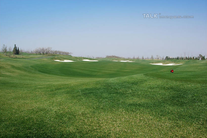 无人,横图,室外,白天,正面,度假,草地,草坪,美景,沙漠,植物,城市风光,城市,中国,亚洲,阴影,光线,影子,景观,球场,枝条,娱乐,蓬莱,山东,烟台,君顶酒庄,高尔夫球场,草,树,树木,树枝,蓝色,绿色,蓝天,天空,阳光,自然,天,享受,休闲,景色,放松,生长,晴朗,成长,绿茵场,东亚,山东省,万里无云,中华人民共和国,华东地区,鲁,烟台市,虬枝,枝杈,大漠,砂漠,晴空,晴空万里,彩图,中粮南王山谷君顶酒庄,中粮君顶酒庄,蓬莱市,shwf1