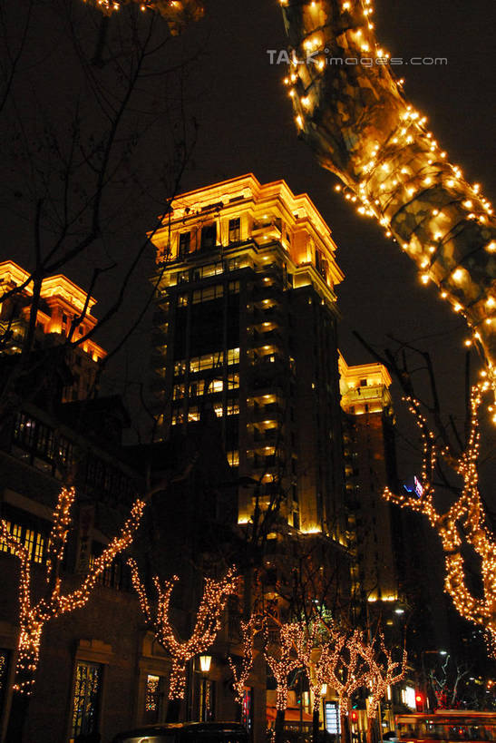 无人,高楼大厦,竖图,室外,夜晚,仰视,度假,美景,植物,城市风光,城市,大厦,建筑,摩天大楼,照明,上海,中国,亚洲,阴影,光线,彩灯,影子,景观,灯光,枝条,娱乐,灯,树,树木,树枝,绿色,自然,灯具,享受,休闲,景色,放松,花灯,生长,成长,新天地,照亮,申,照明设备,卢湾区,东亚,上海市,中华人民共和国,沪,华东地区,上海新天地,虬枝,枝杈,彩图,低角度拍摄,大楼,高层建筑,高楼,摩天楼,shwf1