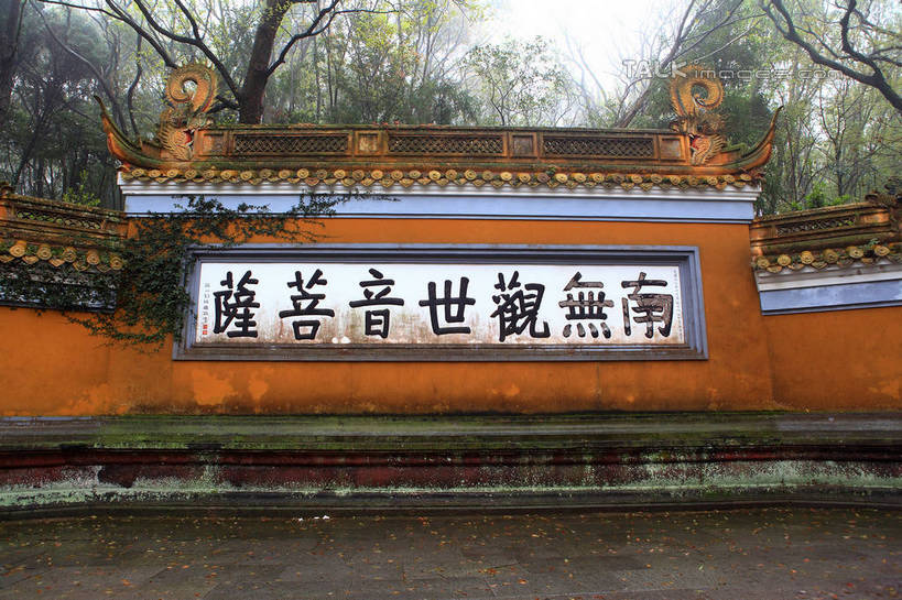 无人,寺庙,横图,室外,白天,正面,旅游,度假,名胜古迹,标志建筑,地标,建筑,中国,亚洲,节日,遗迹,标志,文字,字符,墙,枝条,古迹,文化,文物,娱乐,标识,建设,古建筑,浙江,墙壁,墙面,树枝,浙江省,天空,庙宇,天,祈祷,享受,休闲,健康,汉字,旅游胜地,放松,许愿,宗教,佛教,信仰,纪念,祈求,中文,古文明,东亚,普陀区,普济寺,中华人民共和国,华东地区,浙,国文,华文,舟山,舟山市,释教,虬枝,枝杈,平安,彩图,庙,寺,普济禅院,shwf1