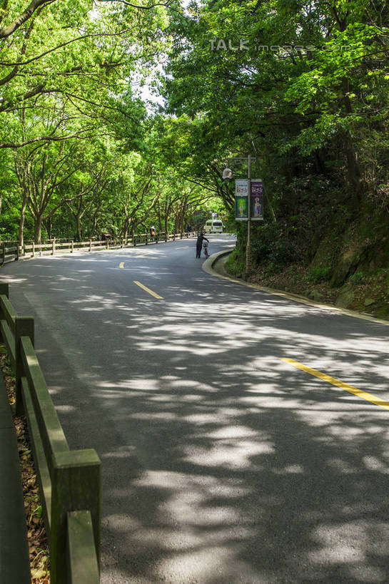 无人,栏杆,竖图,室外,白天,正面,旅游,度假,草地,草坪,美景,植物,道路,路,路灯,公路,照明,中国,亚洲,阴影,光线,影子,景观,围栏,灯光,分界线,柏油马路,停车线,交通,娱乐,浙江,护栏,灯,草,树,树木,浙江省,绿色,阳光,自然,享受,休闲,景色,放松,生长,成长,车行道,车行道分界线,柏油路,照亮,照明设备,自然风光,标线,东亚,车行线,普陀区,普陀山,中华人民共和国,华东地区,浙,舟山,舟山市,马路,彩图,海天佛国,shwf1