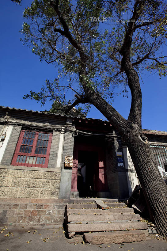 无人,家,竖图,室外,白天,仰视,旅游,度假,名胜古迹,植物,窗户,楼梯,门,标志建筑,地标,胡同,建筑,中国,亚洲,阴影,遗迹,光线,影子,房屋,阶梯,墙,屋子,古迹,文物,娱乐,建设,古建筑,山东,烟台,楼房,玻璃窗,墙壁,墙面,台阶,住宅,树,树木,蓝色,绿色,蓝天,天空,阳光,自然,门框,天,享受,休闲,旅游胜地,放松,生长,晴朗,成长,烟台山,古文明,东亚,山东省,万里无云,中华人民共和国,华东地区,鲁,烟台市,晴空,晴空万里,里弄,彩图,低角度拍摄,房子,巷,shwf1