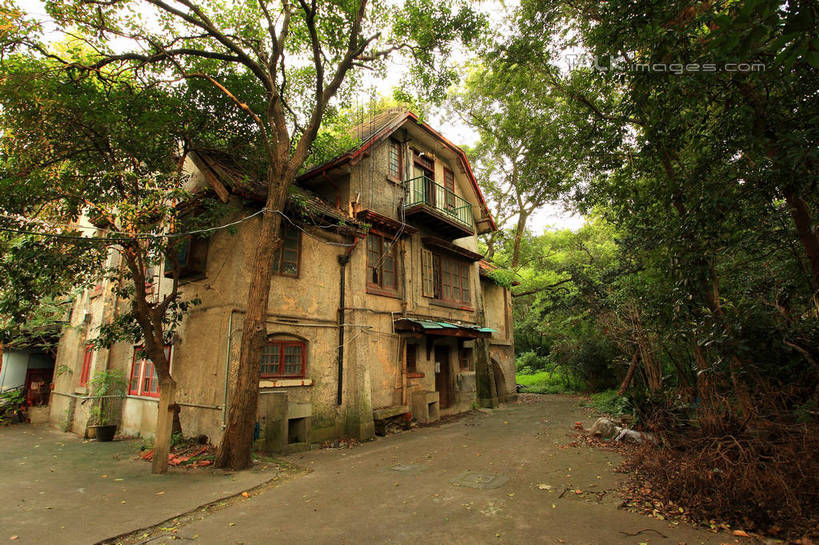 无人,家,横图,室外,白天,正面,度假,草地,草坪,美景,树林,植物,窗户,门,城市风光,城市,道路,路,上海,中国,亚洲,破旧,陈旧,房屋,屋子,景观,公寓,小路,交通,娱乐,洋房,楼房,玻璃窗,住宅,草,树,树木,绿色,天空,自然,门框,天,享受,休闲,景色,放松,生长,成长,淮海路,申,残破,黄浦区,东亚,淮海中路,徐汇区,上海市,中华人民共和国,沪,华东地区,彩图,房子,shwf1