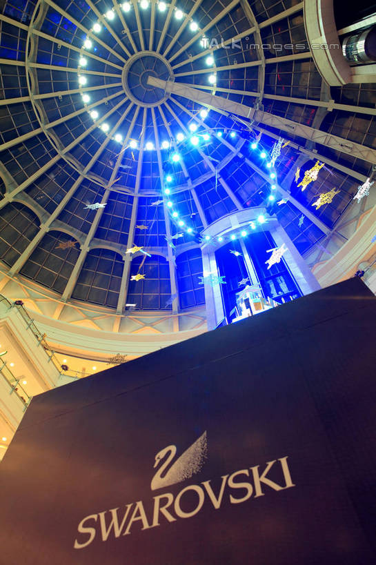 无人,高楼大厦,竖图,室内,白天,仰视,植物,天花板,大厦,建筑,摩天大楼,鸟,野生动物,天鹅,圣诞节,阴影,节日,庆祝,光线,英文,鸟类,标志,文字,影子,字符,字母,灯光,圣诞树,文化,标识,树,树木,一只,绿色,自然,动物,庆典,可爱,名牌,生长,成长,纪念,品牌,英文字母,产品,鹄,彩图,低角度拍摄,全身,大楼,高层建筑,高楼,摩天楼,奥地利天鹅牌,施华洛世奇,shwf1