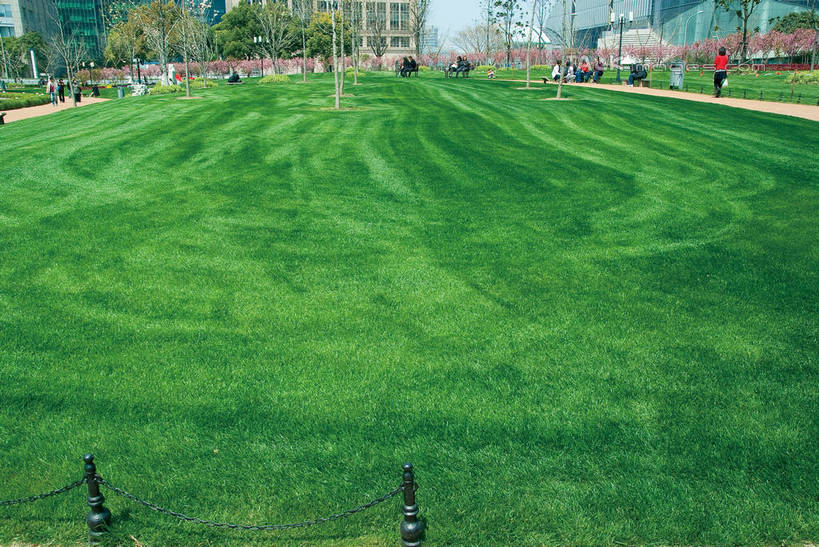 东方人,栏杆,站,坐,走,横图,俯视,室外,白天,度假,时尚,办公楼,草地,草坪,美景,植物,城市风光,城市,写字楼,上海,中国,亚洲,阴影,光线,影子,景观,云,云朵,围栏,许多人,都市,云彩,黄种人,娱乐,现代,浦东,护栏,草,蓝色,绿色,白云,蓝天,天空,阳光,天,站着,一群人,享受,休闲,商务楼,景色,放松,申,浦东新区,世纪大道,东亚,中心绿地,上海市,中华人民共和国,沪,华东地区,商业圈,陆家嘴绿地,上海陆家嘴中心绿地,男人,男性,年轻男性,年轻女性,女人,女性,亚洲人,步行,散步,站立,走路,坐着,彩图,高角度拍摄,全身,商业中心,shwf1