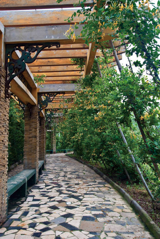 无人,公园,花园,竖图,室外,白天,正面,旅游,度假,花圃,美景,植物,城市风光,城市,金银花,中国,亚洲,长廊,景观,走廊,娱乐,蓝色,绿色,蓝天,天空,自然,天,享受,休闲,景色,放松,生长,成长,东亚,藤蔓植物,中华人民共和国,华北地区,忍冬,金银藤,银藤,鸳鸯藤,河北,河北省,冀,秦皇岛,秦皇岛市,小花园,攀爬,彩图,shwf1