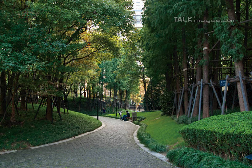 无人,高楼大厦,横图,室外,白天,正面,度假,时尚,美景,树林,植物,城市风光,城市,大厦,道路,建筑,路,摩天大楼,上海,中国,亚洲,阴影,光线,影子,景观,建筑群,小路,交通,都市,娱乐,建设,石子路,树,树木,蓝色,绿色,蓝天,天空,阳光,自然,天,享受,休闲,景色,放松,生长,成长,新天地,申,黄浦区,东亚,马当路,上海市,中华人民共和国,沪,华东地区,上海新天地,彩图,大楼,高层建筑,高楼,摩天楼,shwf1