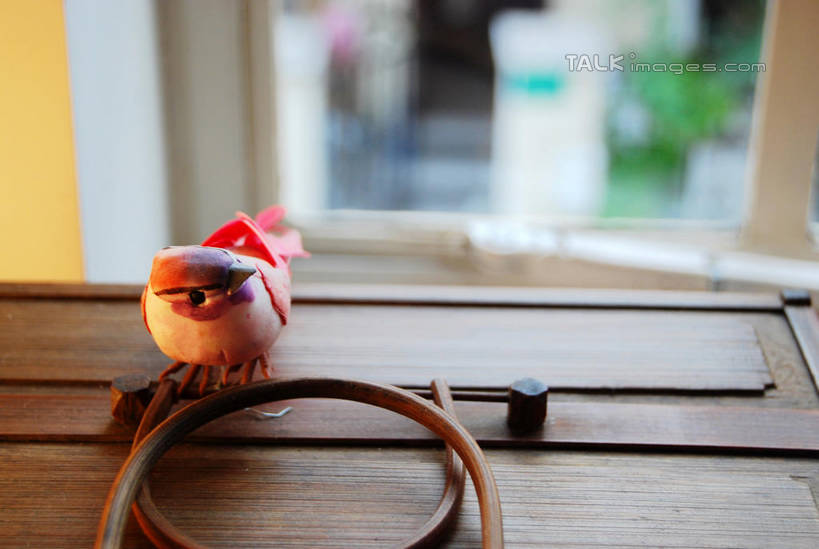 无人,站,横图,室内,特写,白天,正面,窗户,桌面,桌子,鸟,雕塑,阴影,朦胧,模糊,艺术,装饰,反射,木制,鸟类,雕刻,雕像,泥塑,影子,木桌,墙,扭头,注视,玻璃窗,墙壁,墙面,一只,木制品,工艺品,观察,看,站着,转头,观看,纪念,美术,察看,关注,主题,陈列,功能,美学,站立,彩图,全身,木桌子,shxw1