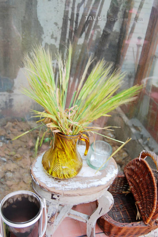 无人,交叉,竖图,俯视,室内,特写,白天,智慧,植物,竹子,花瓶,竹制,艺术,编织,木制,板凳,篮子,陶瓷,凳子,陶瓷制品,文化,绿色,自然,插花,木制品,瓶子,竹篮,生长,成长,竹条,插花艺术,交织,创造,竹制品,创作,想象,穿插,彩图,高角度拍摄,shxw1