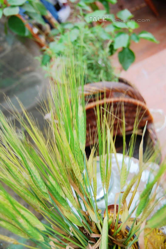 无人,交叉,竖图,俯视,室内,特写,白天,智慧,植物,竹子,花瓶,竹制,艺术,编织,木制,板凳,篮子,陶瓷,凳子,陶瓷制品,文化,绿色,自然,插花,木制品,瓶子,竹篮,生长,成长,竹条,插花艺术,交织,创造,竹制品,创作,想象,穿插,彩图,高角度拍摄,shxw1