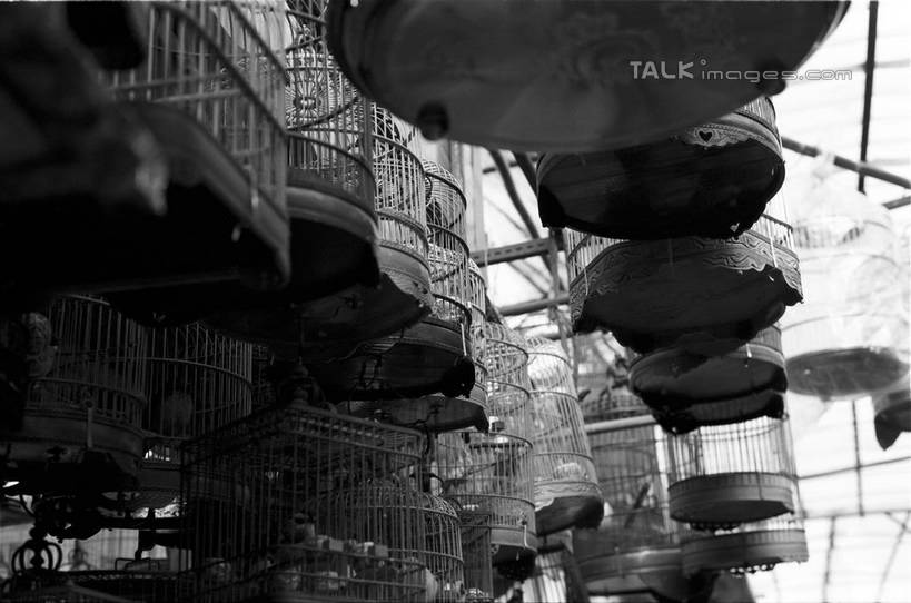 无人,栏杆,横图,黑白,室外,特写,白天,仰视,购物,消费,上海,中国,亚洲,许多,吊挂,悬挂,围栏,笼子,鸟笼,集市,市场,很多,挂,护栏,花鸟市场,天空,容器,天,金融,储藏,申,储存,选购,贸易,东亚,上海市,中华人民共和国,沪,华东地区,低角度拍摄,贮存,shylt1