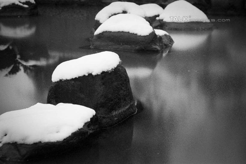 无人,横图,俯视,黑白,室外,特写,白天,旅游,度假,湖,湖泊,石头,美景,水,雪,大雪,盛开,石子,湖面,积雪,景观,水流,水面,水塘,雪景,冬季,冬天,枝条,花蕾,娱乐,花,花瓣,花朵,鲜花,树,树枝,倒影,自然,湖水,花苞,花蕊,享受,休闲,景色,放松,寒冷,鱼池,鱼塘,倒映,自然风光,严寒,反照,虬枝,枝杈,石块,岩石,高角度拍摄,shylt1