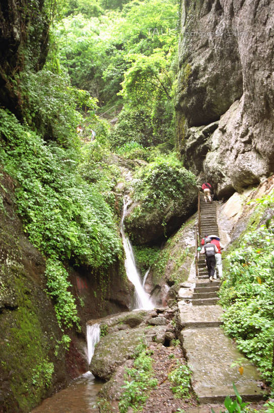 无人,竖图,室外,白天,仰视,旅游,度假,石头,美景,瀑布,森林,山,山脉,树林,水,植物,中国,亚洲,阴影,飞溅,溅,光线,石子,液体,影子,景观,山顶,山峰,水滴,山峦,娱乐,水珠,树,树木,绿色,阳光,自然,群山,享受,休闲,景色,放松,生长,成长,喷洒,自然风光,东亚,湖南,莨山,湖南省,中华人民共和国,华中地区,湘,邵阳,邵阳市,颠峰,极峰,跌水,石块,彩图,低角度拍摄,新宁县,shzwj1
