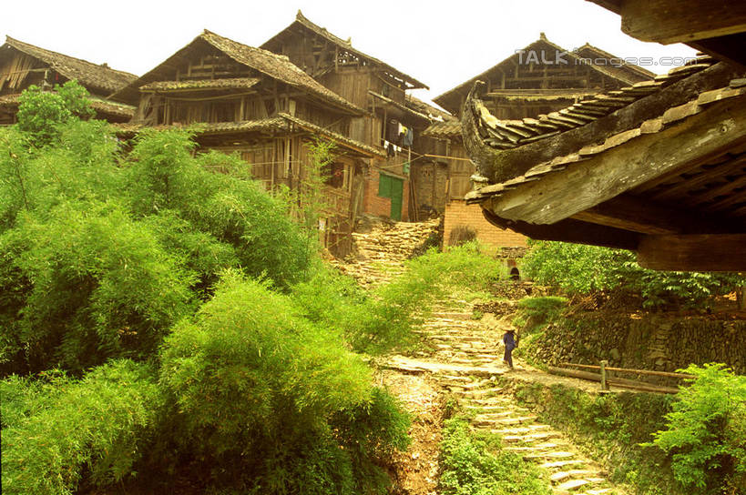 无人,家,横图,室外,白天,正面,旅游,度假,美景,植物,道路,建筑,路,中国,亚洲,阴影,光线,瓦片,影子,房屋,屋顶,屋子,景观,小路,交通,顶棚,瓦,娱乐,楼房,住宅,树,树木,绿色,阳光,自然,享受,休闲,景色,放松,建造,乡间小路,生长,成长,自然风光,东亚,屋瓦,湖南,湘西,湖南省,中华人民共和国,华中地区,湘,湘西州,湘西土家族苗族自治州,彩图,房子,shzwj1