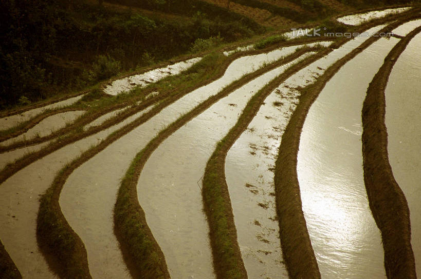 无人,农田,横图,俯视,室外,白天,旅游,度假,庄稼,梯田,农作物,石头,美景,山,山脉,植物,中国,亚洲,阴影,曲折,弯曲,光线,石子,影子,景观,山顶,山峰,山峦,娱乐,树,树木,绿色,阳光,自然,群山,享受,休闲,景色,放松,蜿蜒,生长,成长,广西,自然风光,东亚,龙胜,龙脊梯田,广西壮族自治区,中华人民共和国,桂,华南地区,颠峰,极峰,龙胜各族自治县,龙胜梯田,石块,彩图,高角度拍摄,耕地,庄稼田,shzwj1