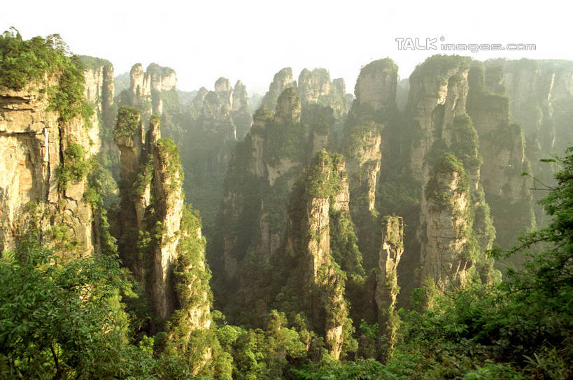 无人,公园,横图,室外,白天,正面,旅游,度假,石头,美景,森林,山,山脉,树林,植物,张家界,中国,亚洲,阴影,光线,石子,影子,景观,山顶,山峰,山峦,娱乐,树,树木,绿色,阳光,自然,群山,享受,休闲,景色,放松,生长,成长,自然风光,东亚,湖南,湖南省,森林公园,张家界国家森林公园,中华人民共和国,华中地区,湘,张家界市,颠峰,极峰,石块,彩图,shzwj1