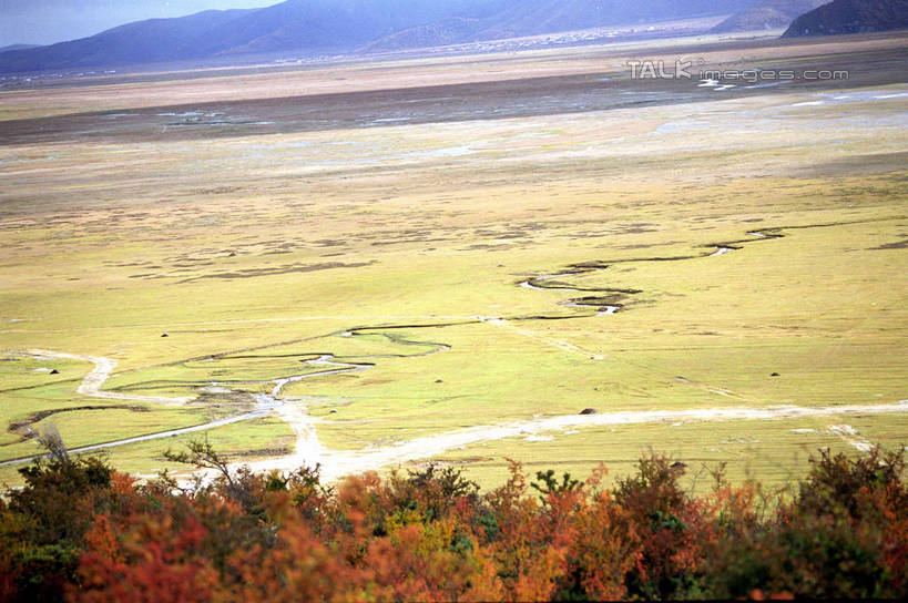 无人,横图,俯视,室外,白天,旅游,度假,草地,草坪,美景,山,山脉,树林,植物,香格里拉,中国,亚洲,阴影,光线,影子,景观,山顶,山峰,山峦,娱乐,草,树,树木,绿色,阳光,自然,群山,享受,休闲,景色,放松,四川省,生长,成长,自然风光,东亚,四川,稻城,甘孜藏族自治州,中华人民共和国,西南地区,川,甘孜,甘孜州,颠峰,极峰,彩图,高角度拍摄,稻城县,shzwj1