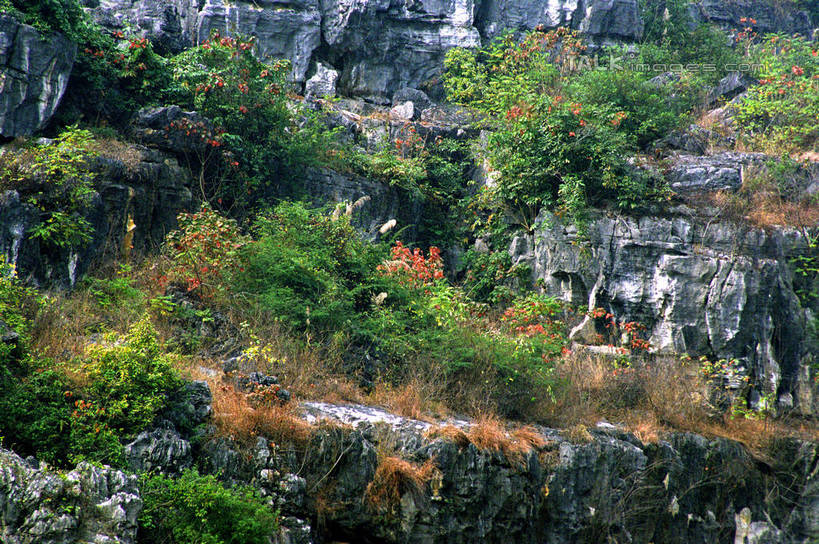 无人,横图,俯视,室外,白天,旅游,度假,石头,美景,山,山脉,植物,中国,亚洲,阴影,光线,石子,影子,景观,山顶,山峰,山峦,娱乐,树,树木,绿色,阳光,自然,群山,享受,休闲,景色,放松,生长,成长,自然风光,东亚,贵州,贵州省,兴义市,马岭河峡谷,中华人民共和国,黔,西南地区,黔西南,黔西南州,黔西南布依族苗族自治州,颠峰,极峰,石块,彩图,高角度拍摄,马岭河大峡谷,兴义,shzwj1