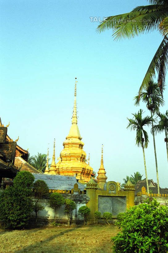 无人,家,木屋,竖图,室外,白天,仰视,旅游,度假,植物,标志建筑,地标,建筑,棕榈树,叶子,西双版纳,中国,亚洲,阴影,光线,影子,绿叶,娱乐,建设,云南,住宅,树,树木,蓝色,绿色,蓝天,天空,阳光,自然,天,享受,休闲,嫩叶,旅游胜地,放松,生长,晴朗,成长,东亚,棕榈叶,傣族园,西双版纳州,云南省,万里无云,中华人民共和国,西南地区,滇,西双版纳傣族自治州,叶,叶片,晴空,晴空万里,棕树,棕榈,彩图,低角度拍摄,茅舍,茅屋,棚屋,小木屋,小屋,西双版纳傣族园,橄榄坝,shzwj1